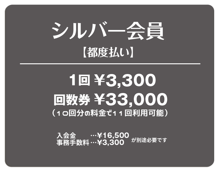 シルバー会員（都度払い）